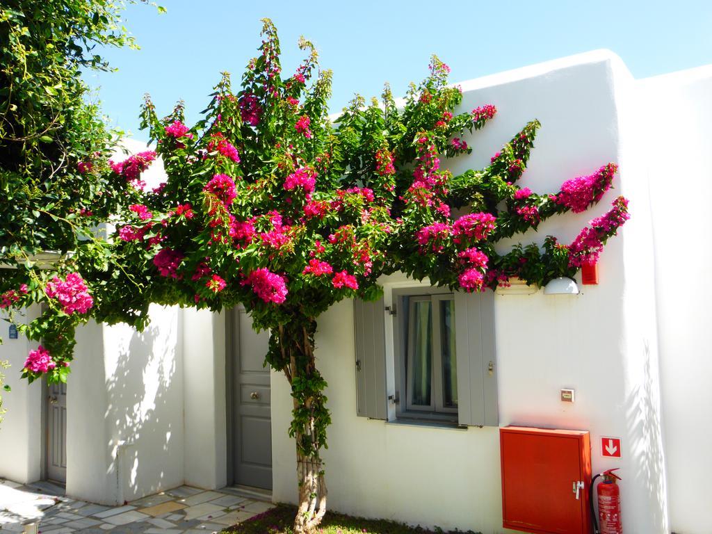 فندق Paros Bay Parasporos المظهر الخارجي الصورة